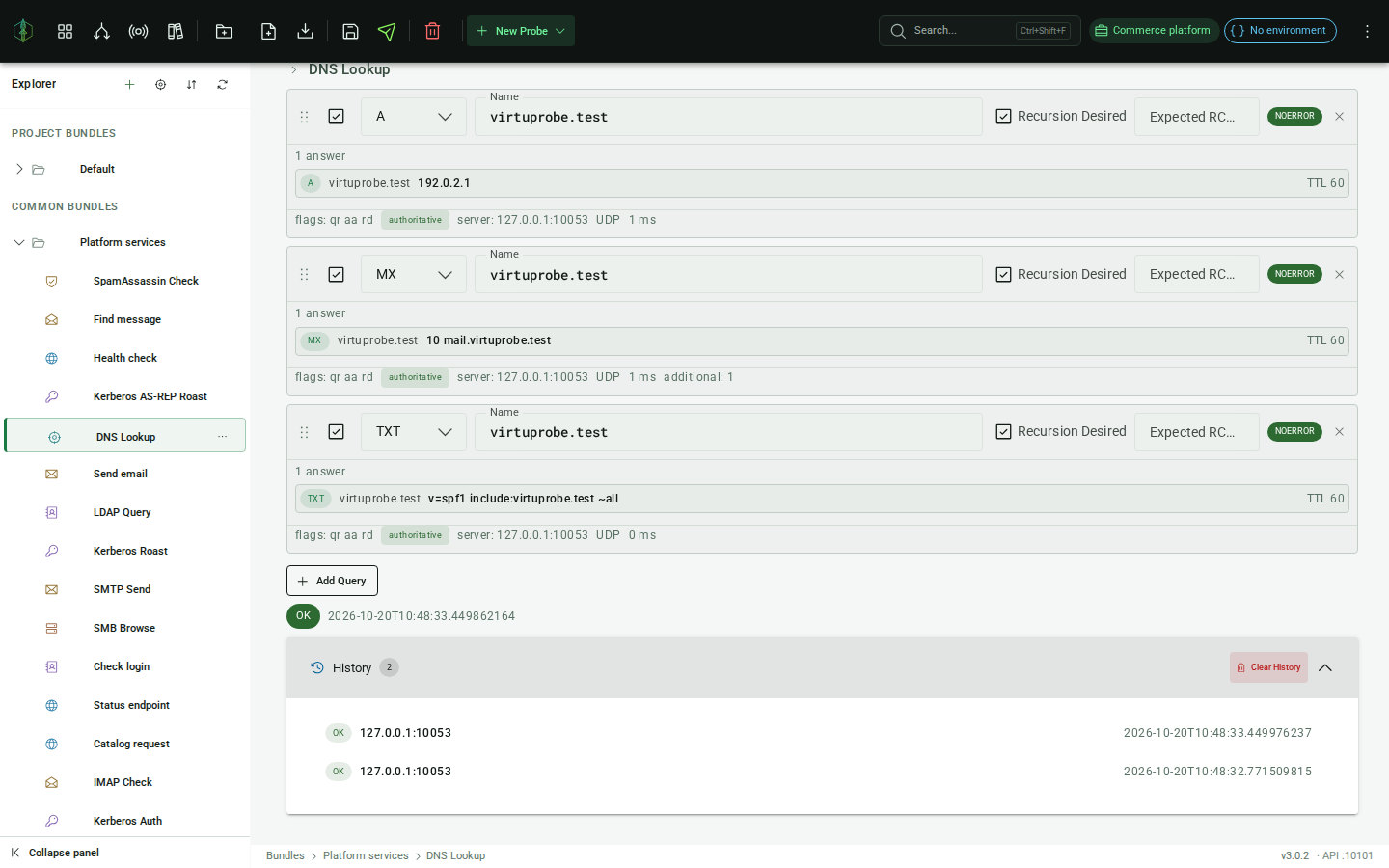 DNS history panel: expanded entry showing query blocks with answer records